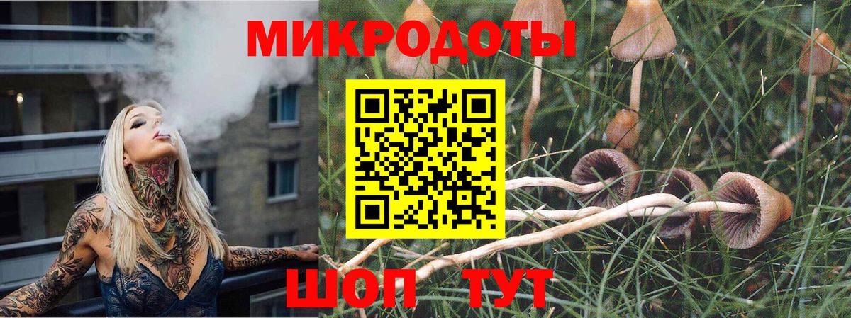 Псилоцибиновые грибы прущие грибы Выкса