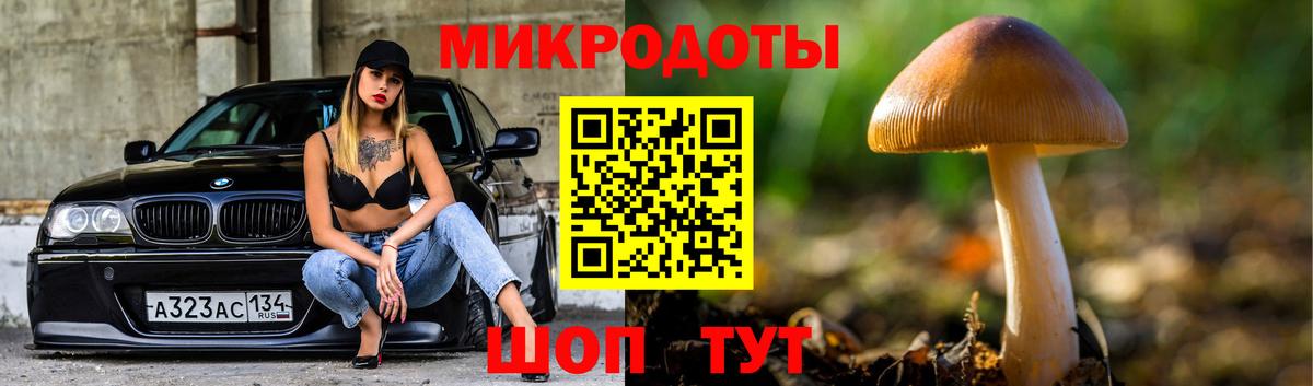 Выкса  Псилоцибиновые грибы прущие грибы  Вход с VPN  наркошоп  Псилоцибиновые грибы ЛСД 